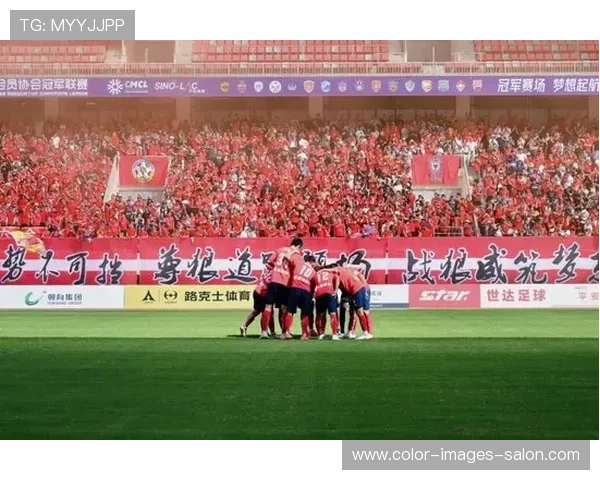 葡超球迷文化:传统、激情与地域认同的融合 葡超球迷文化:传统、激情与地域认同的融合