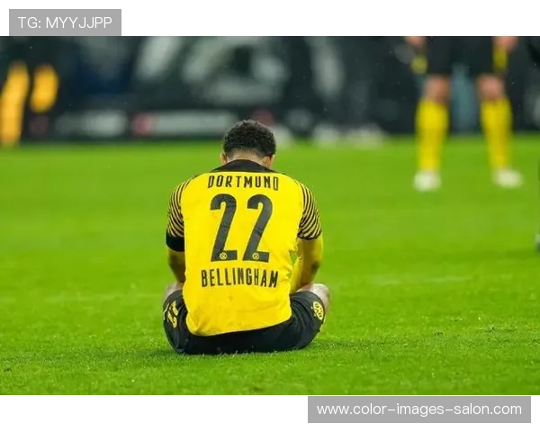 贝林厄姆德甲赛季最佳