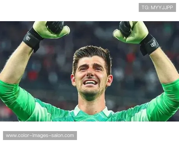 库尔图瓦：2欧冠4西甲2英超+世界杯金手套的荣誉解析