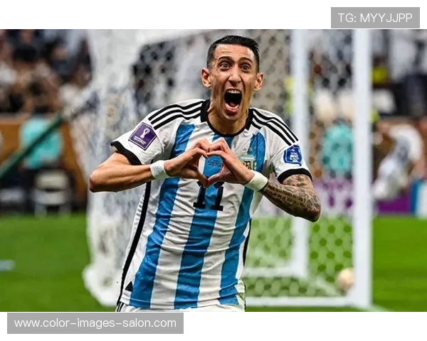 迪马利亚2014世界杯决赛伤缺对阿根廷影响解析 迪马利亚2014世界杯决赛伤缺对阿根廷影响解析